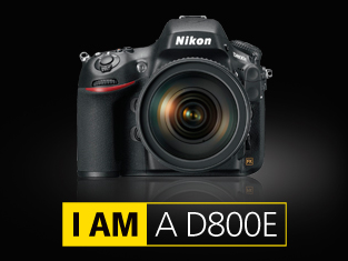 NİKON D800E  BODY